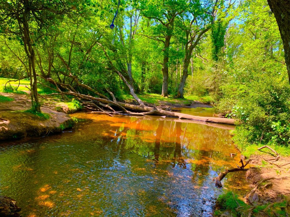 Forest Haven Sway Exteriör bild