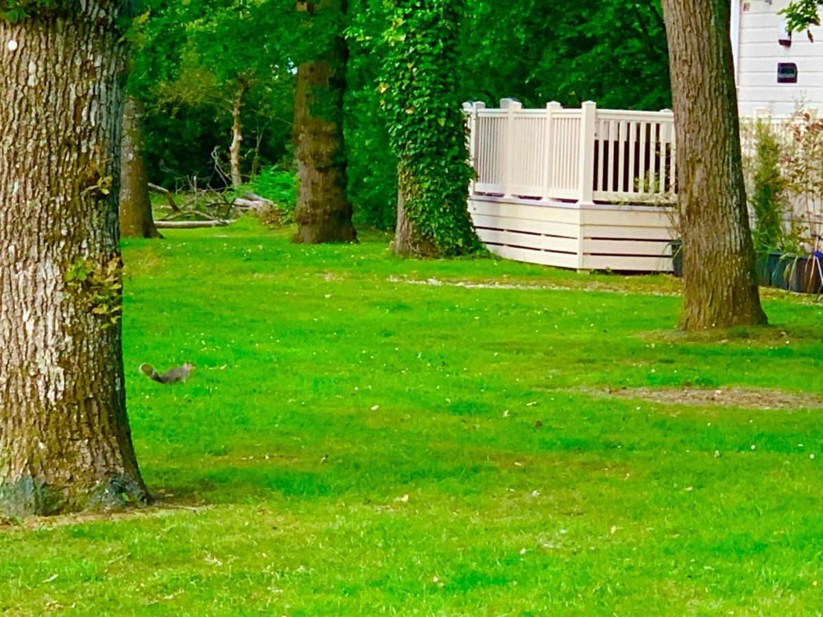 Forest Haven Sway Exteriör bild