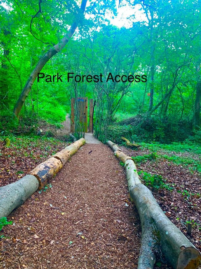 Forest Haven Sway Exteriör bild