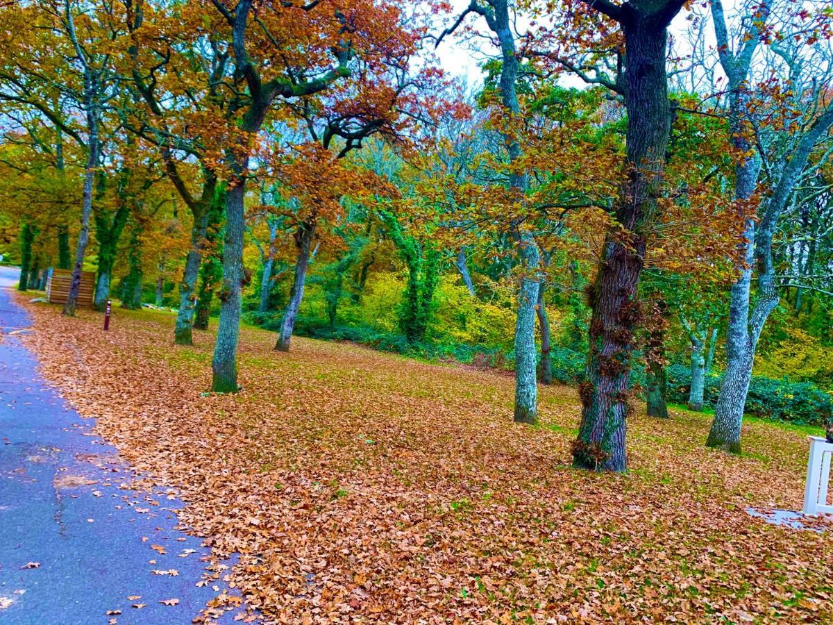 Forest Haven Sway Exteriör bild