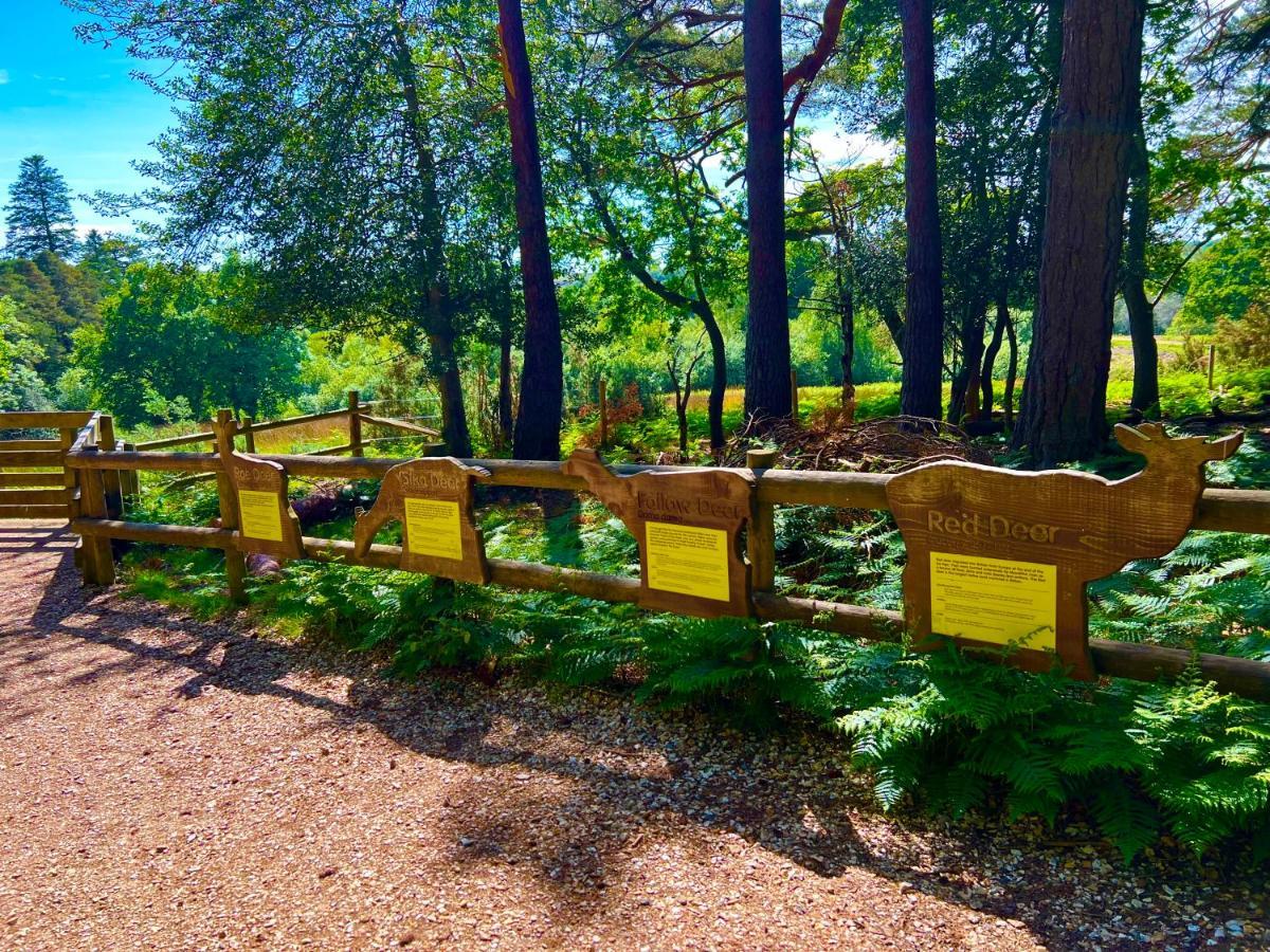 Forest Haven Sway Exteriör bild